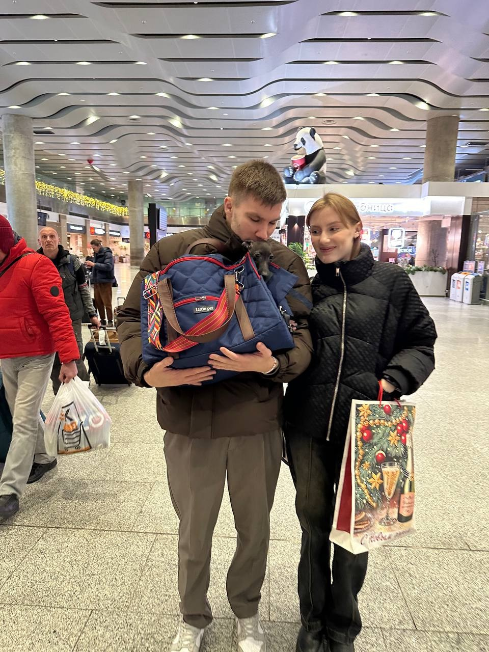 Итоги января. Профессиональный питомник левреток РКФ/FCI ASTI SAPPHIRE 💎 Сочи|Санкт-Петербург