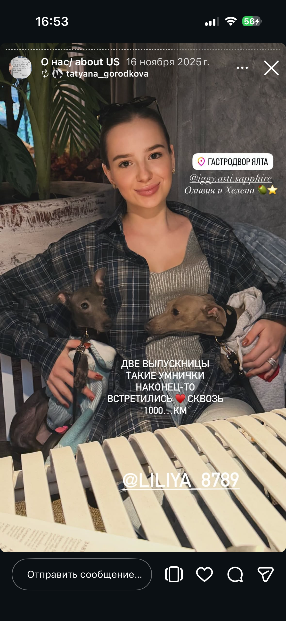 Отзывы от наших любимых владельцев. Профессиональный питомник левреток РКФ/FCI ASTI SAPPHIRE 💎 Сочи|Санкт-Петербург