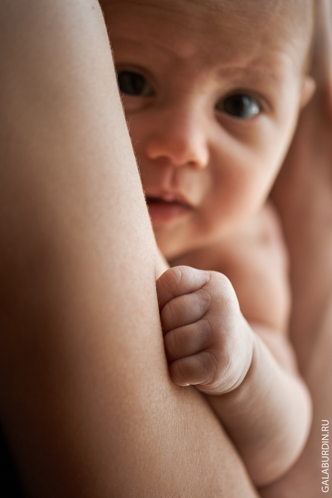 Елена и Мира. Свадебный и семейный фотограф Михаил Галабурдин и Анна Завадская. Рост