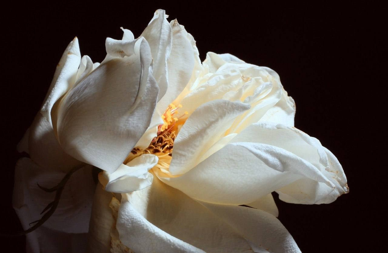 Предметы. Фотограф в Москве Юлия Майорова