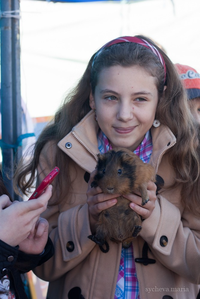 Ярмарка талантов. Детский и семейный фотограф, фотограф мероприятий Нижний Новгород