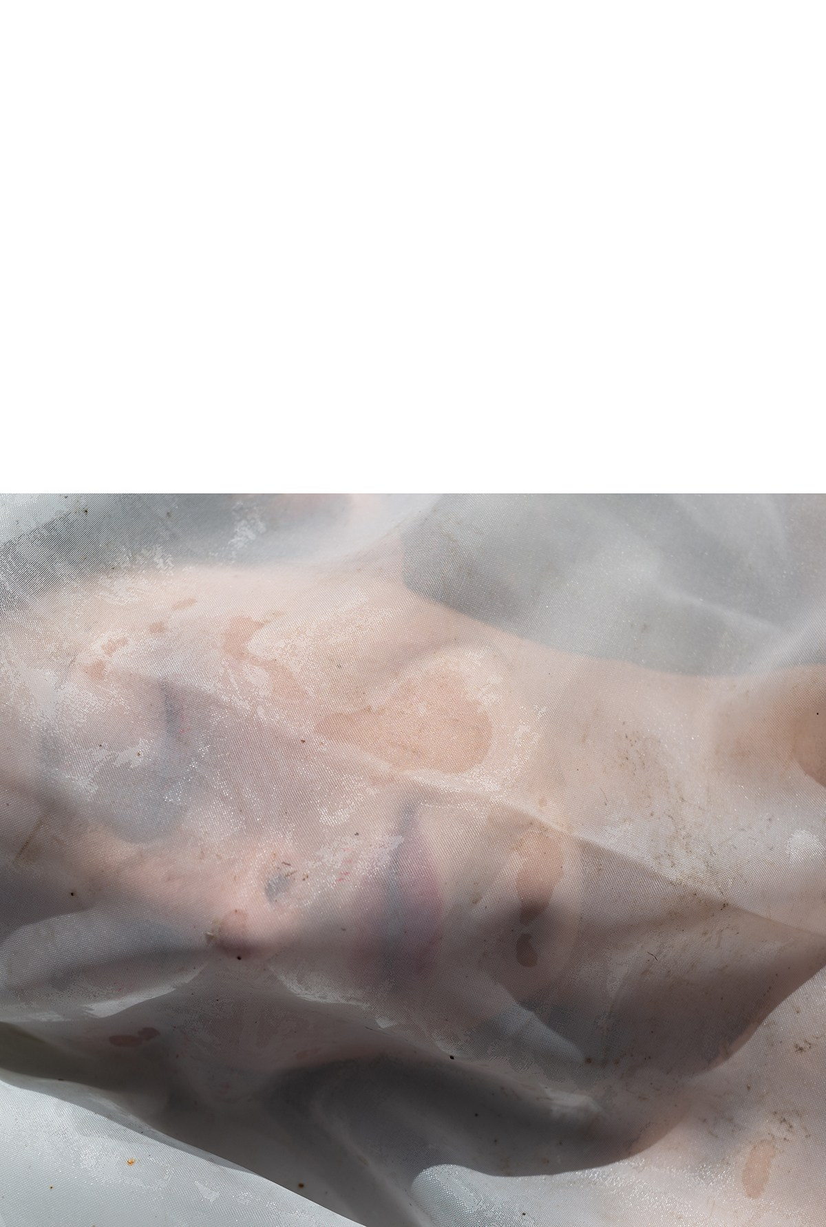 'MORI' personal shooting. Nik Paustovskiy photography