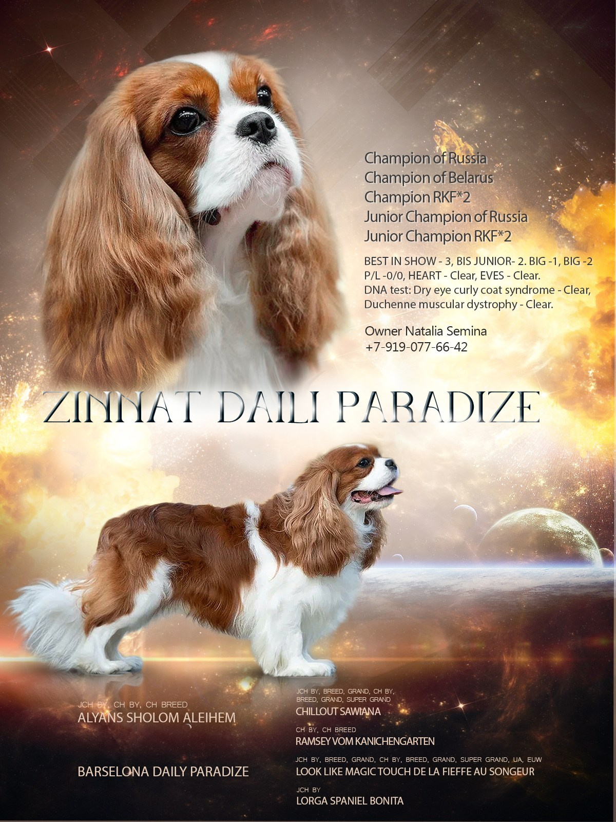 Презентации. Фотограф — анималист в Туле Юлия Лето