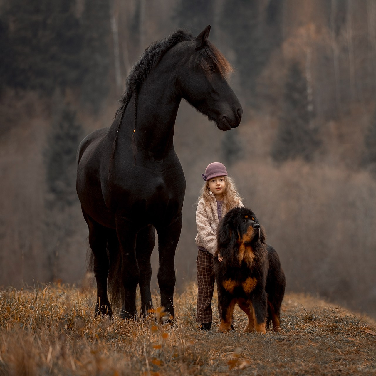 Детская конная съёмка. Детская Конная фотография в Москве Юлия Шепелева