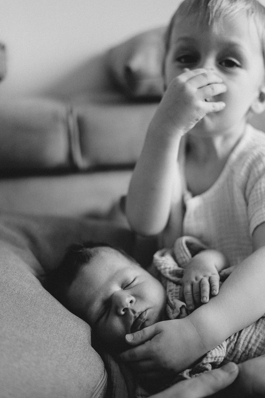 Здравствуй! | дома