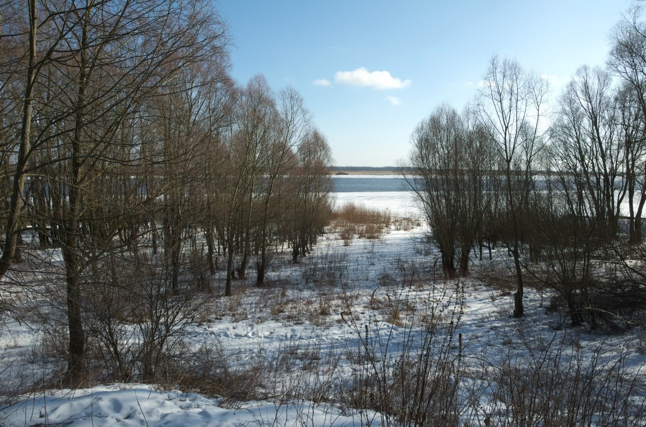 Великий Новгород | 27-28.02.2016. Галерея Фантим