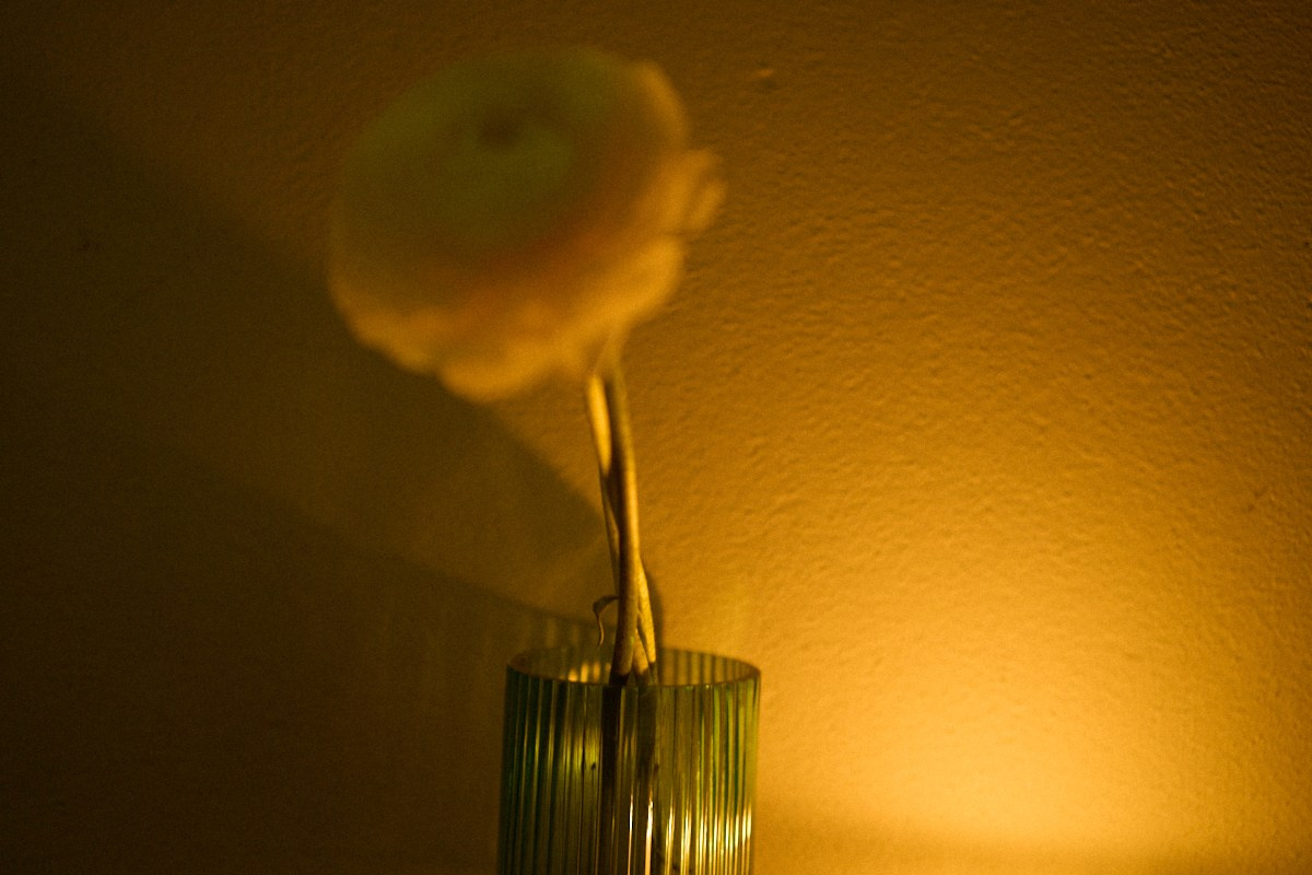 Импровдом, лекция-концерт. Иван Кобяков