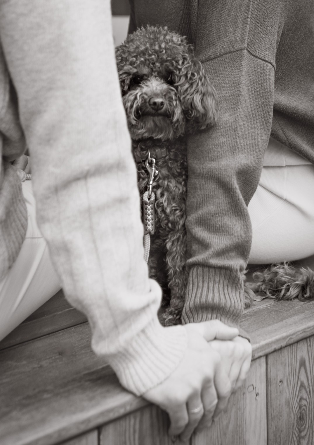 1+1=3. Семейный фотограф Москва детский фотограф Одинцово фотосессия беременности Рогачева Екатерина