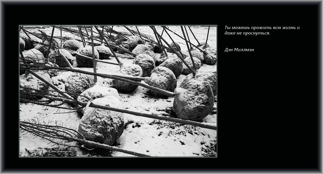 Совет дня — ориентир. Татьяна Корчагина. Фотограф, художник. Обучение фотографии