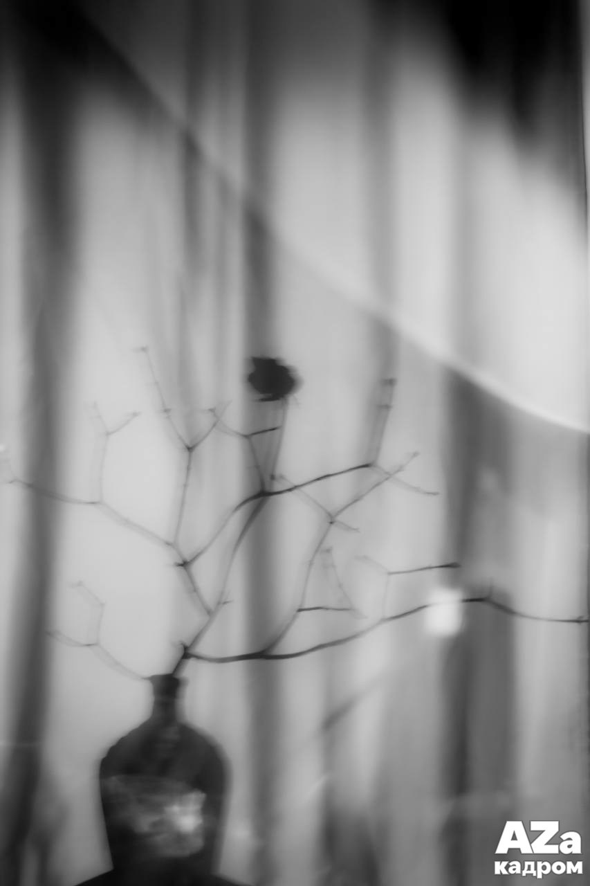 AZакадром Импрессинизм. Женский семейный фотограф Тула Москва Захарова Анна