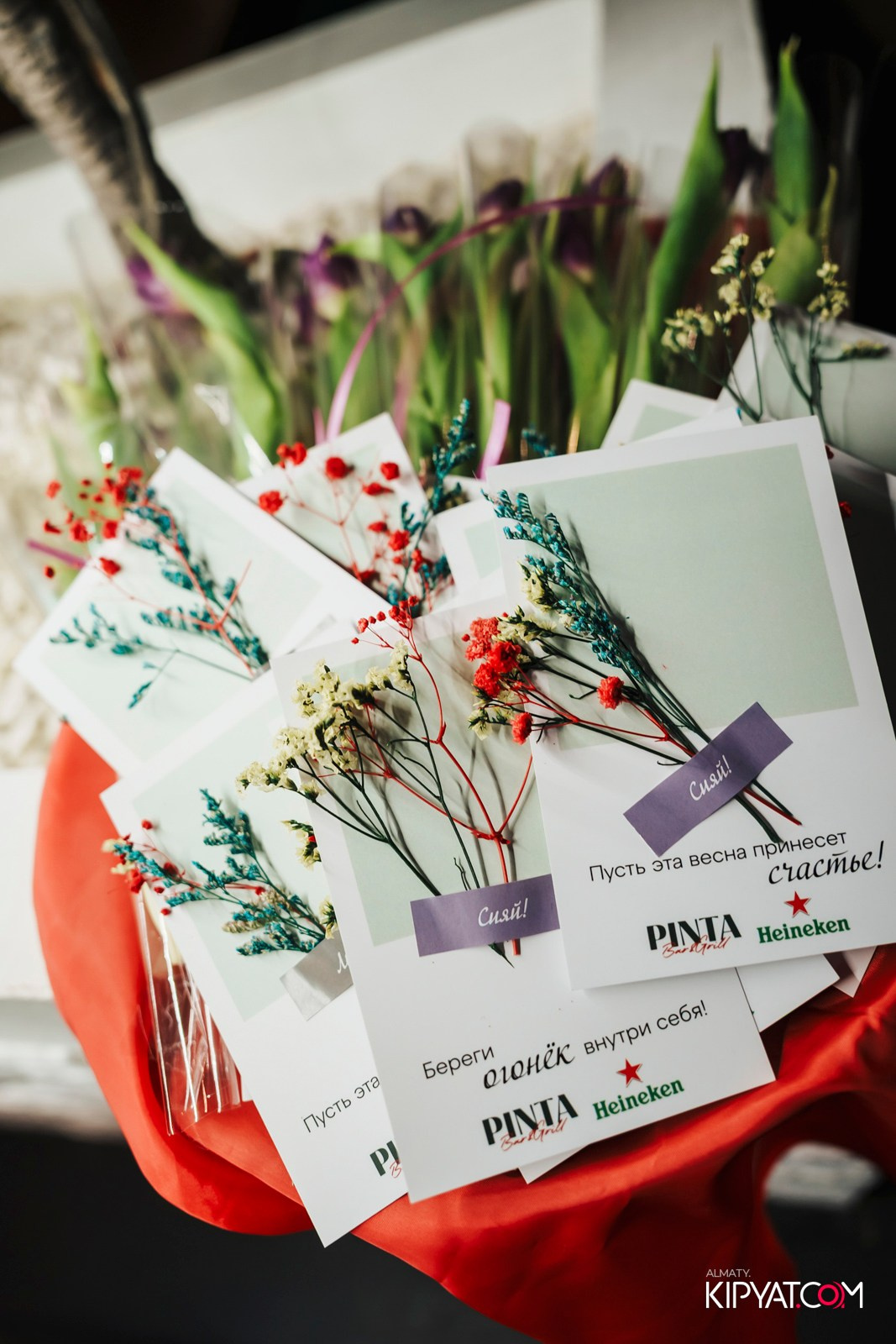 ПИНТА ADK. КИПЯТКОМ АЛМАТЫ! Фотосъемка мероприятий в Алматы