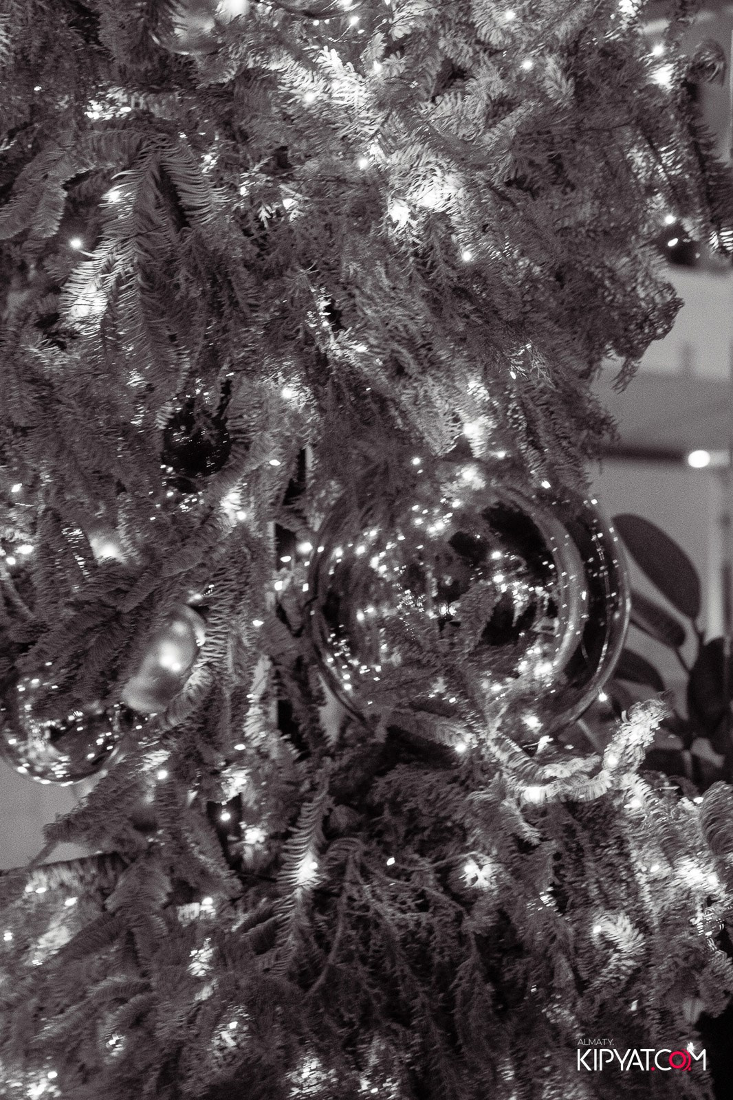 MOOD KARAOKE & TERRACE. КИПЯТКОМ АЛМАТЫ!