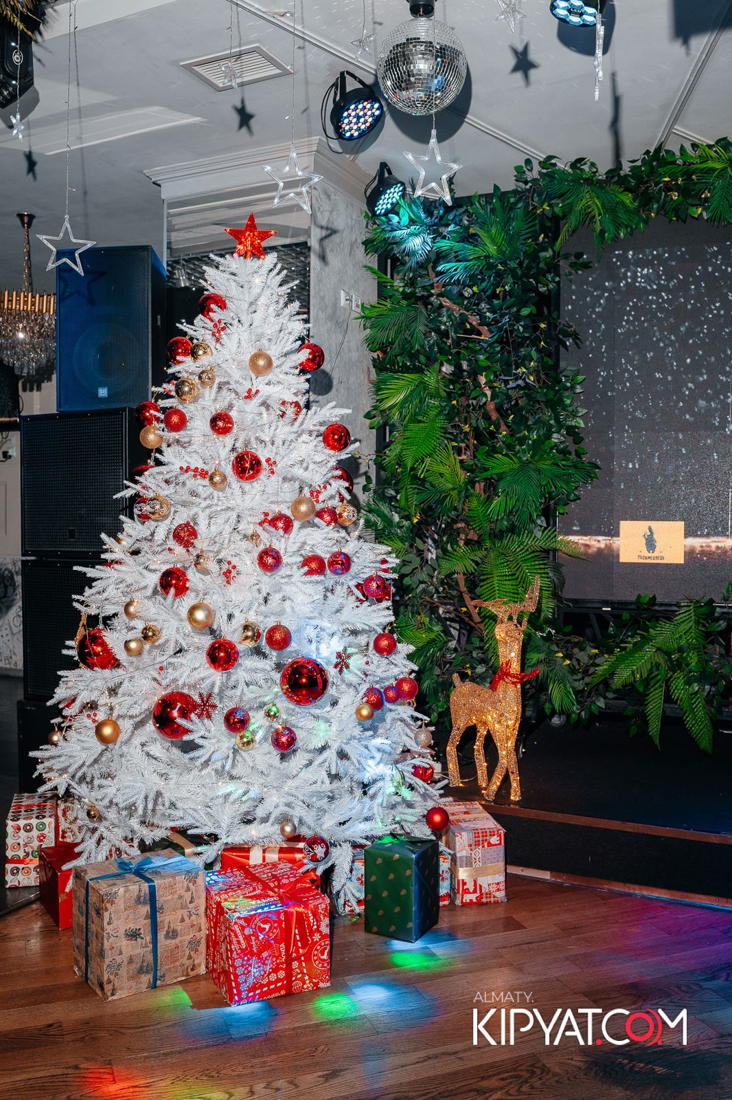 УХО И МЕДВЕДЬ НА КУРМАНГАЗЫ. КИПЯТКОМ АЛМАТЫ!