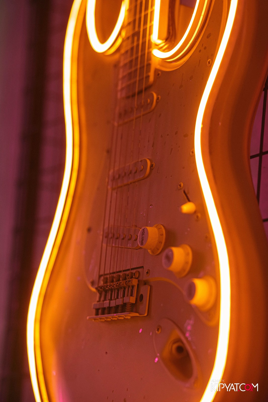 УХО И МЕДВЕДЬ НА САИНА. КИПЯТКОМ АЛМАТЫ! Фотосъемка мероприятий в Алматы