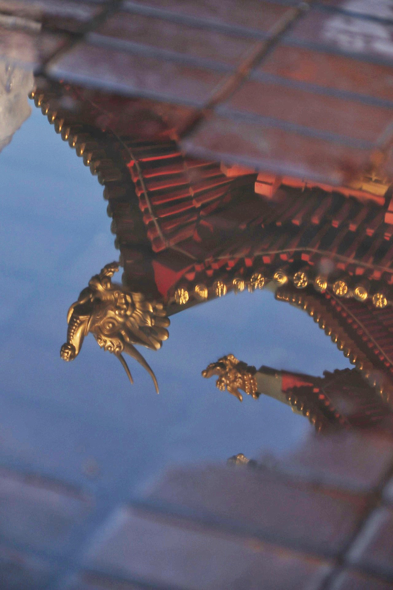 Калмыкия и Баскунчак. Наталия Фролова. Фотограф. Москва