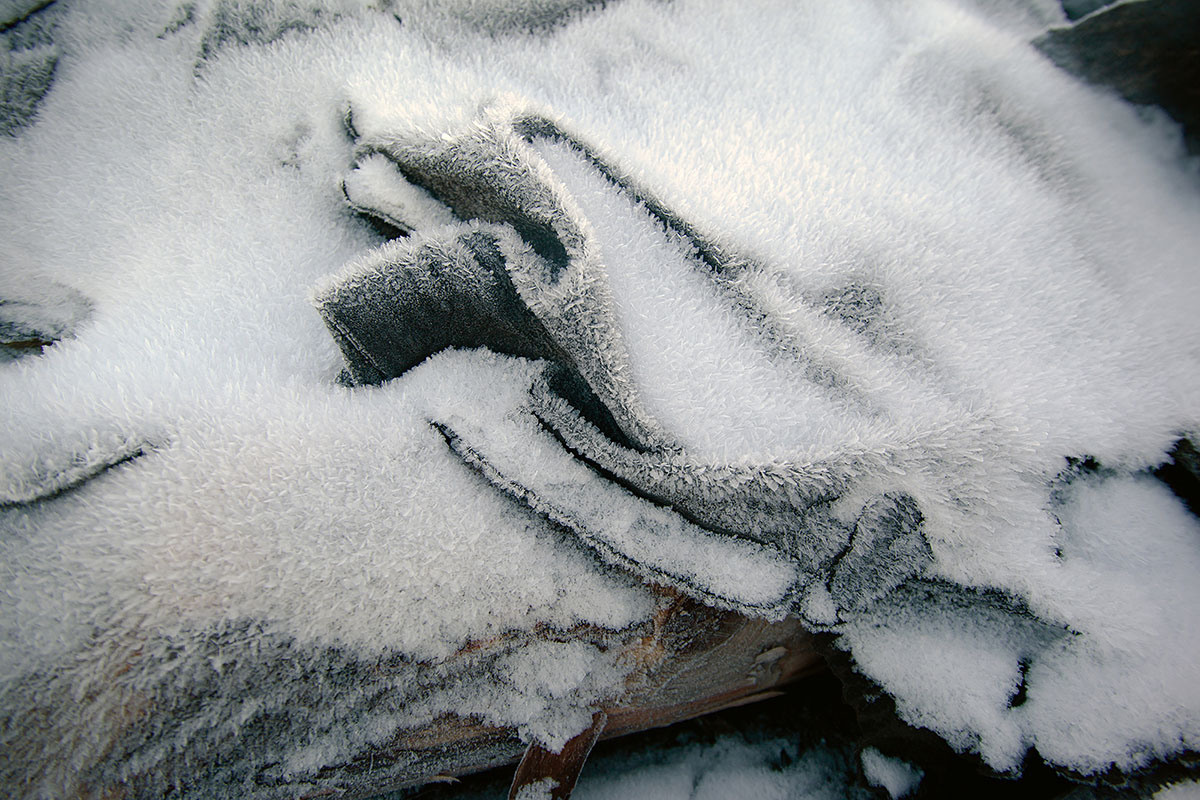 Quiet life. Заставка