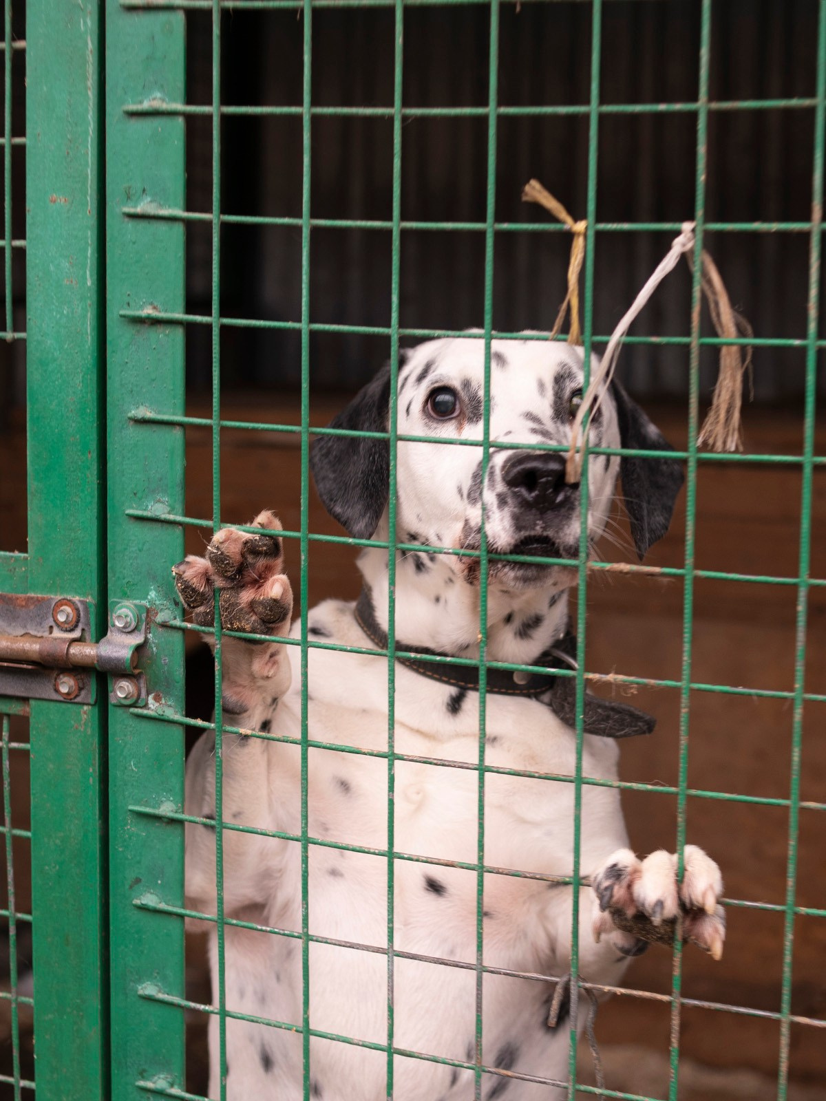 Волонтёрство. Монохромный фотограф