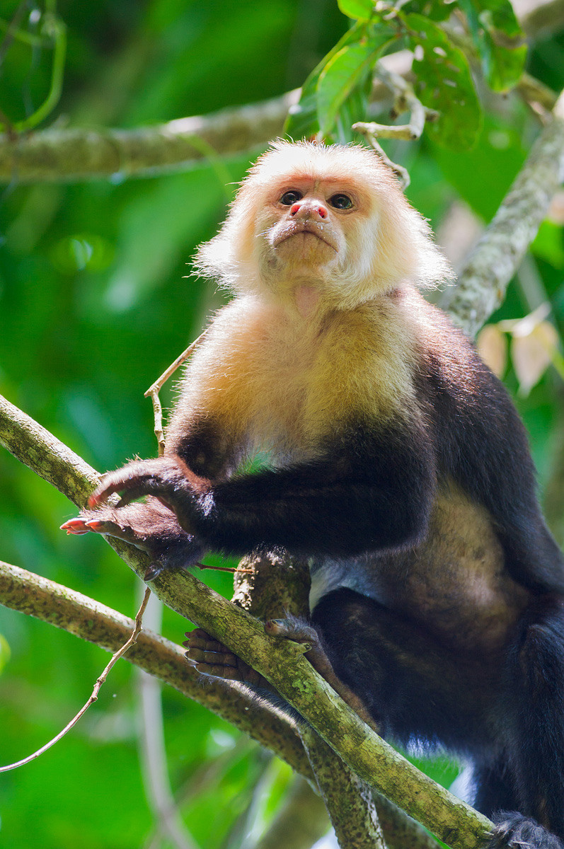 Фотографии макромира для интерьера Вашего дома, квартиры, офиса или да. Авторские стильные фотокартины