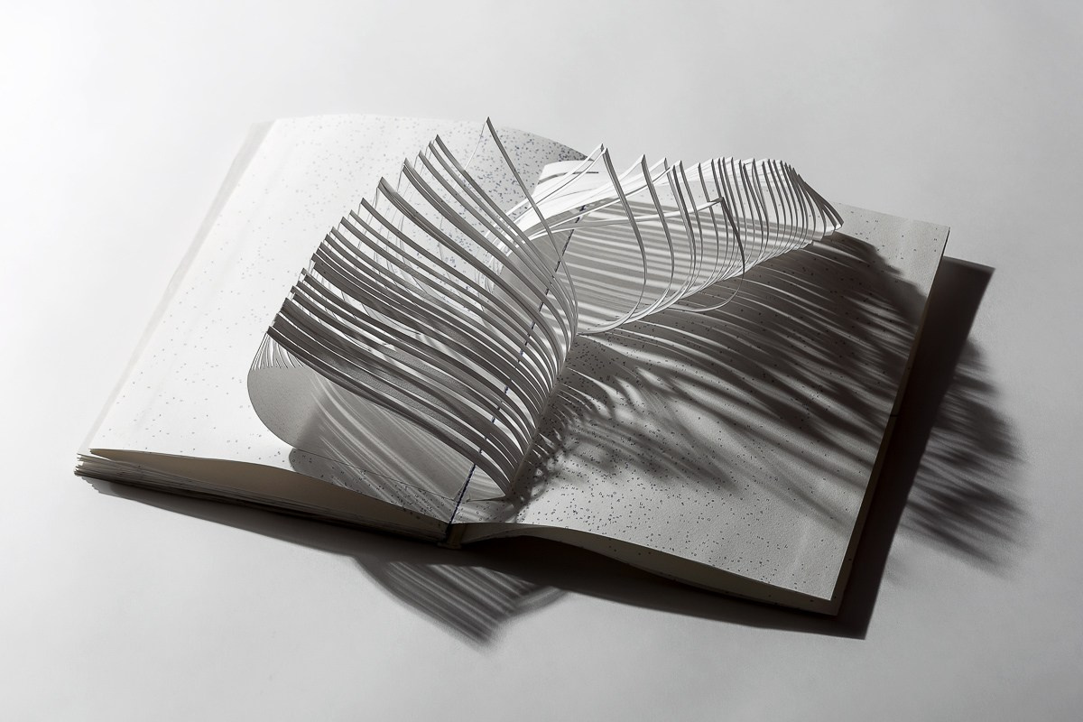 Object. Alexey Bogolepov photography