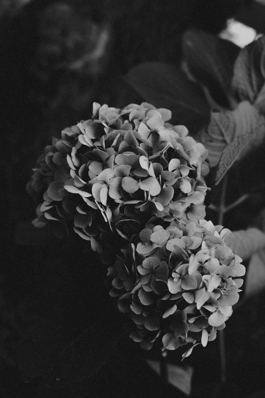 Савицкая Катя фотограф во Владивостоке и Южно-Сахалинске