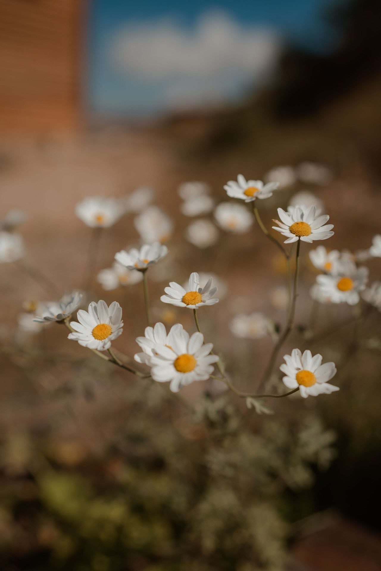 Отзывы о фотографе Инне Абакаровой. Фотограф в Кабардино-Балкарской республике, Нальчик, Инна Абакарова