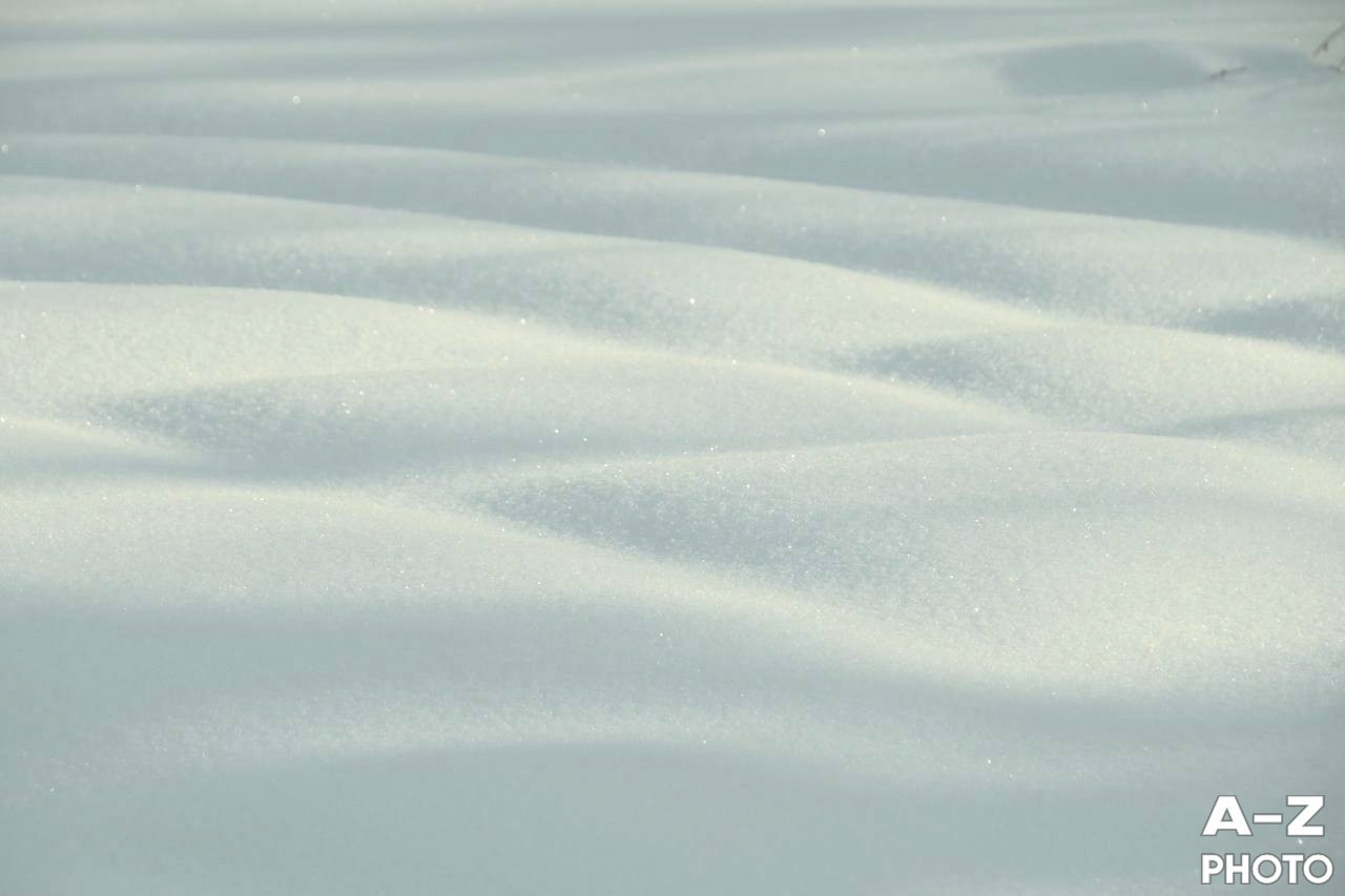 #ФОТОНЕДЕЛИ 19.01.2026. Женский семейный фотограф Тула Москва Захарова Анна