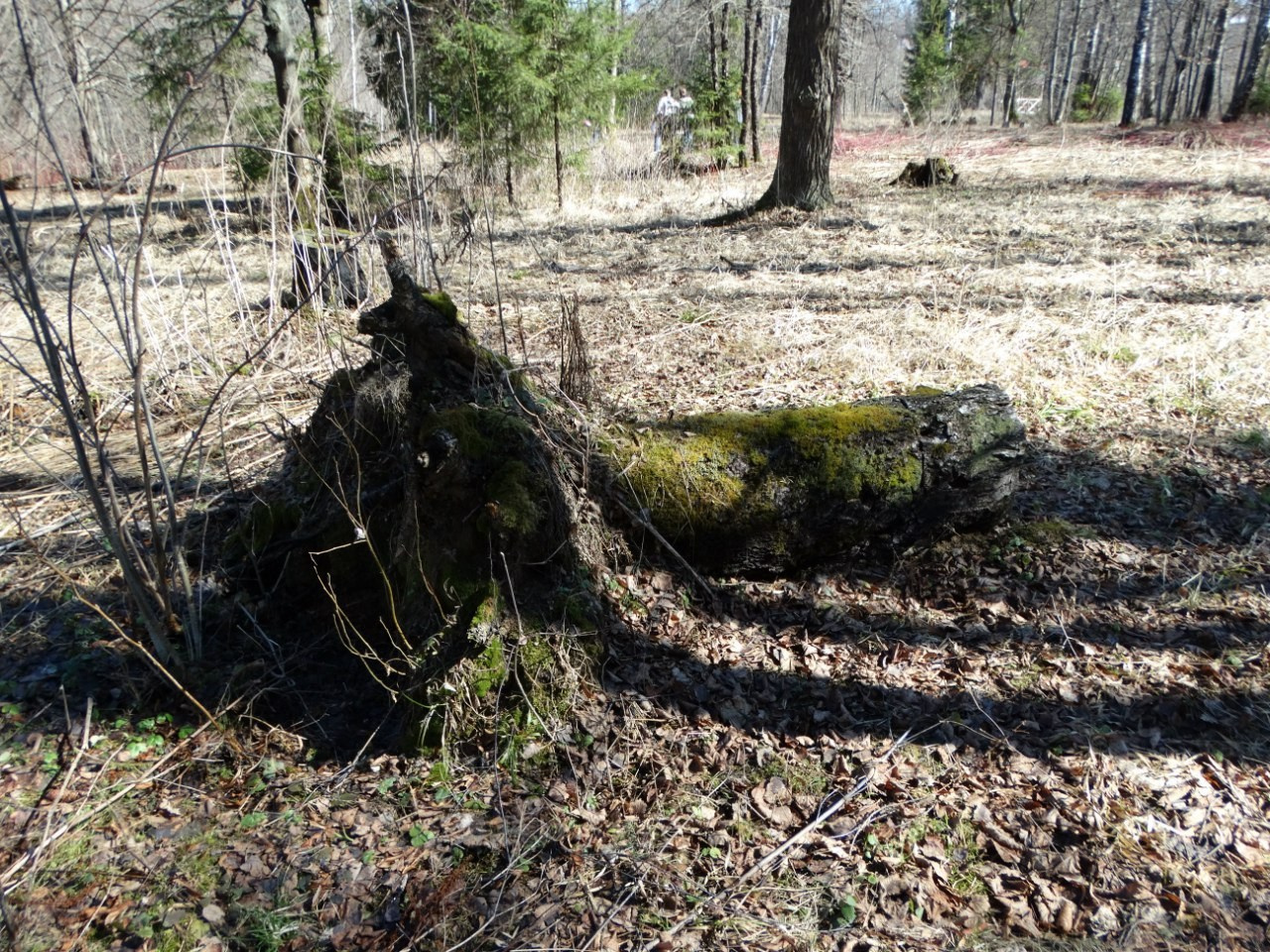 «Весенний переполох» Загородный выезд | 16-17.04.2016. Галерея Фантим