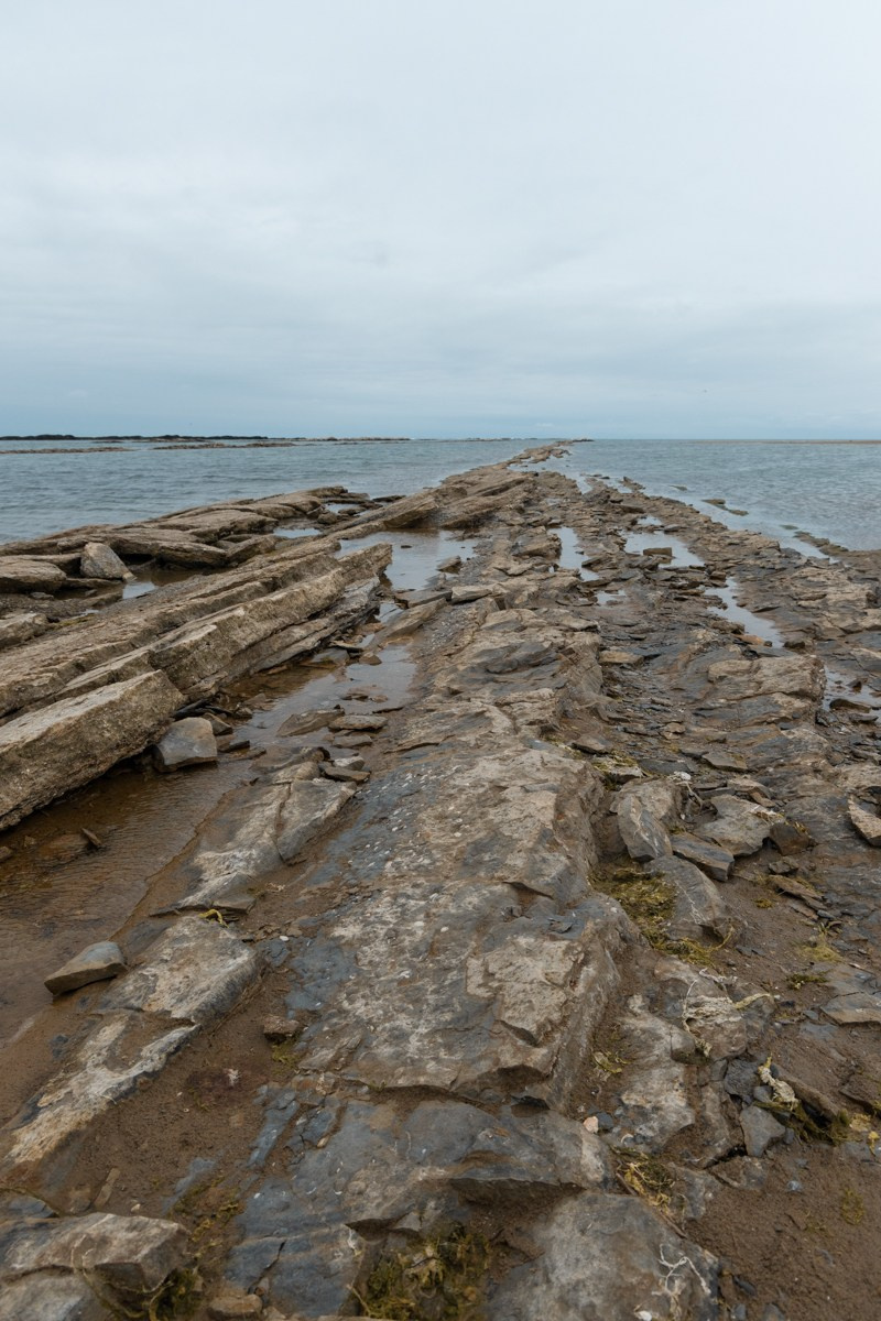 Избербаш. Photomantis