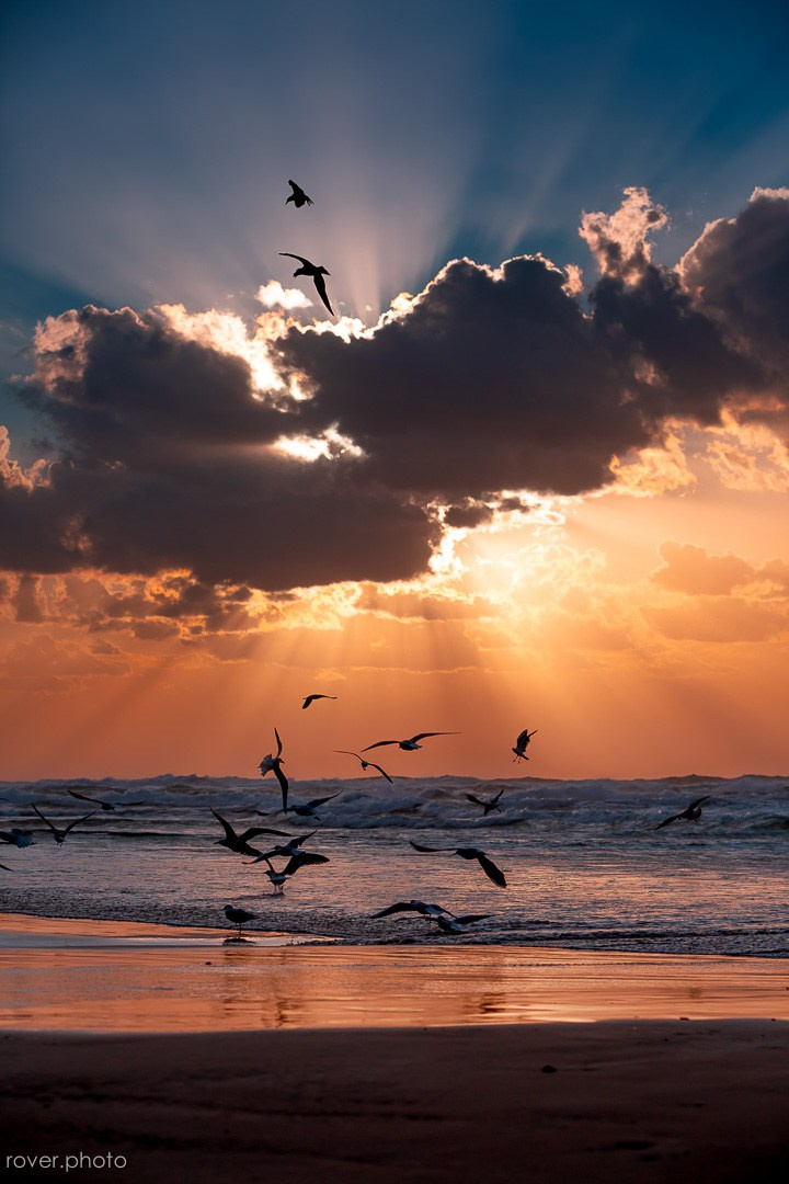 ЯХТЫ / МОРЕ / ПУТЕШЕСТВИЯ. Сложная съёмка для бизнеса b2b / Яхтенный фотограф / Корпоративные календари / Промышленная съёмка / Спортивный репортаж