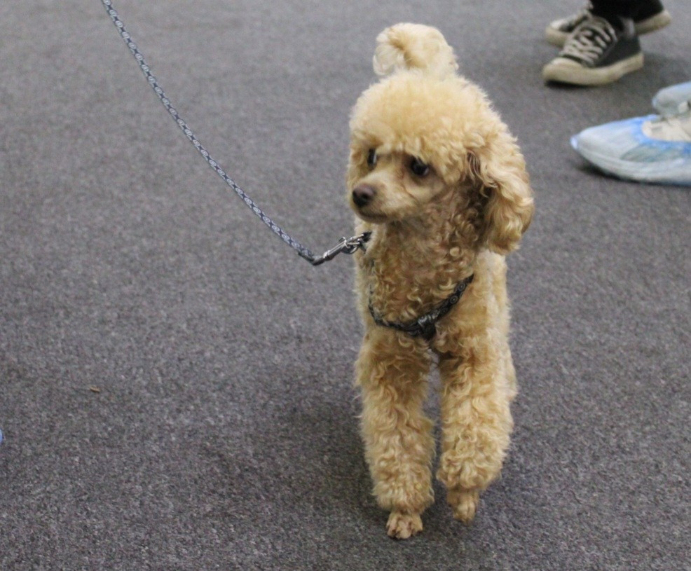 Репортаж УС «ДЦ Ральф». Катя Попова|ЛайфСтайл фотограф