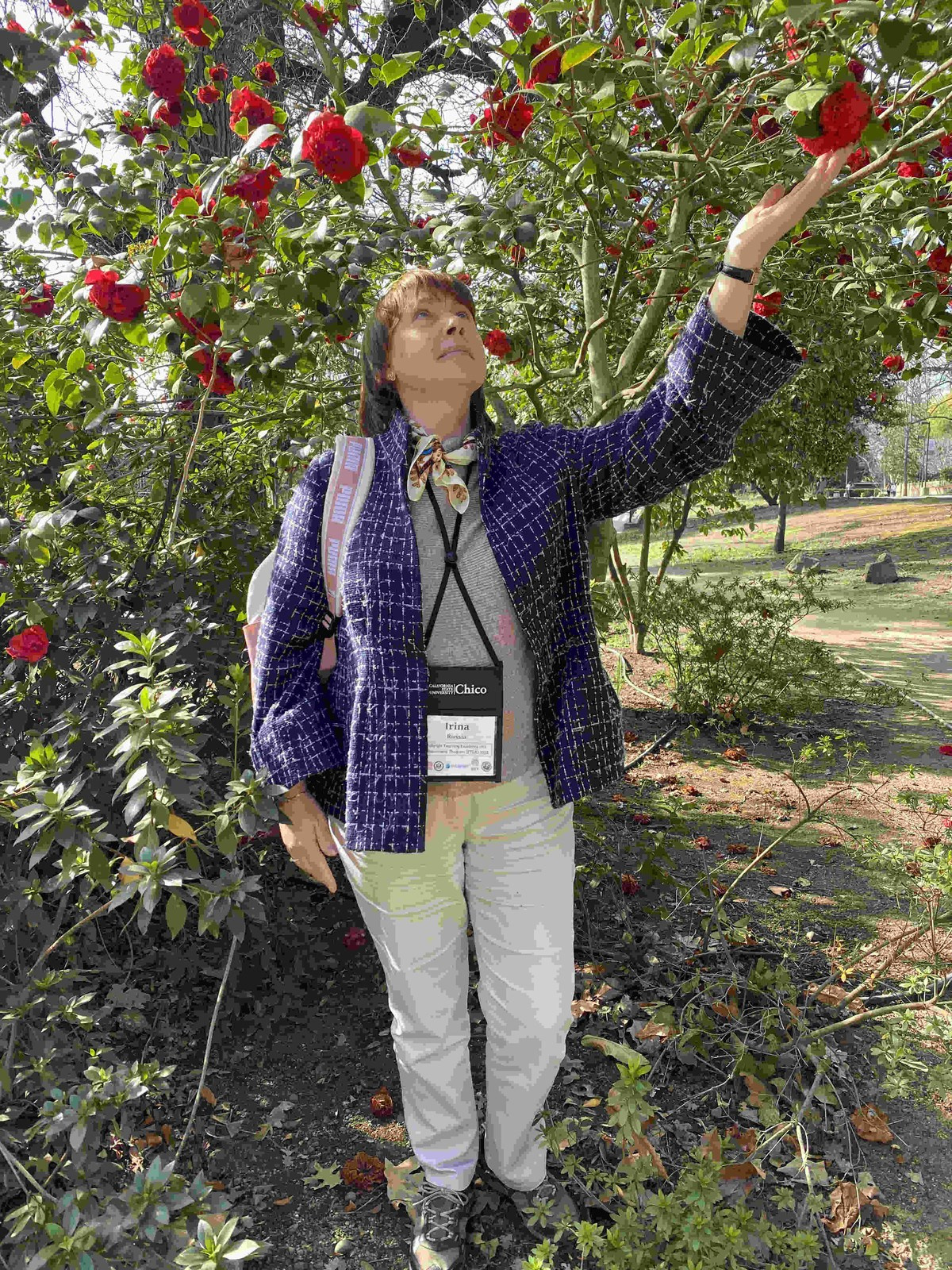 California State University, Chico. LinguaCentrePro