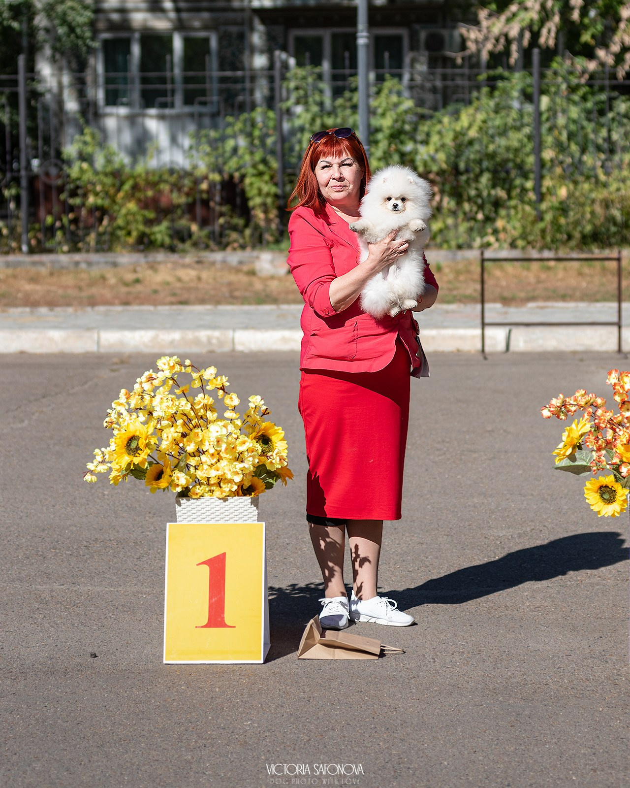 15 сентября 2024. Благовещенск. Монопородная выставка шпицев. Фотограф анималист Благовещенск. Сафонова Виктория