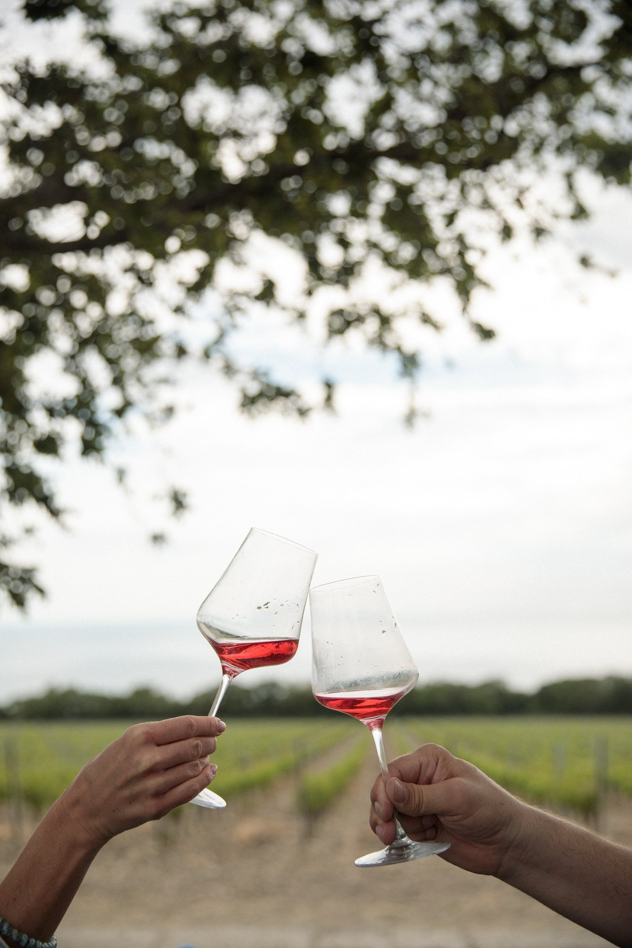 Отзывы. Свадебный фотограф в Геленджике Мария Четверикова