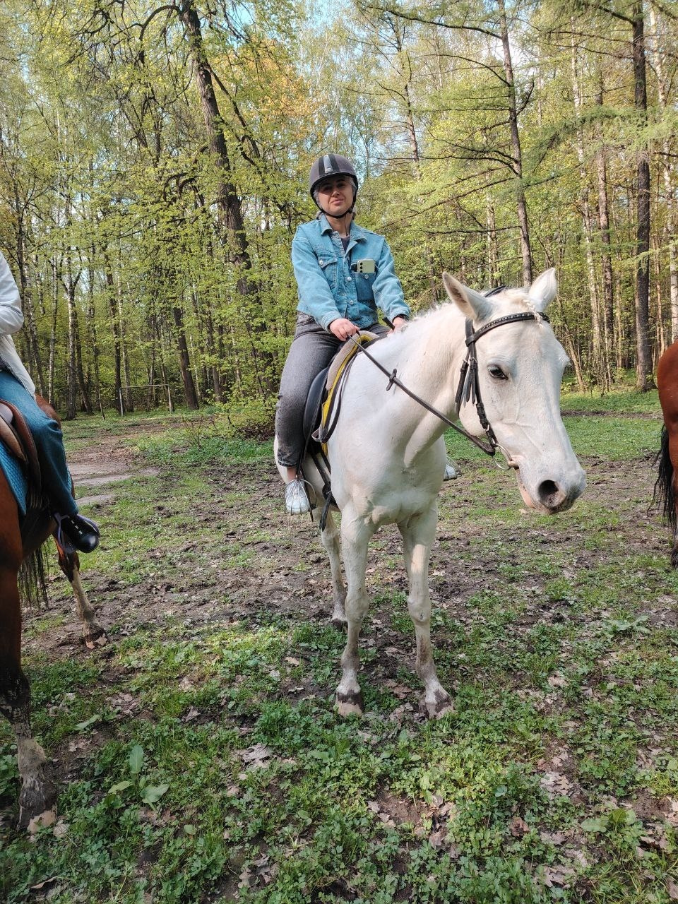 Лошадинг | 30.03.2024. Галерея Фантим