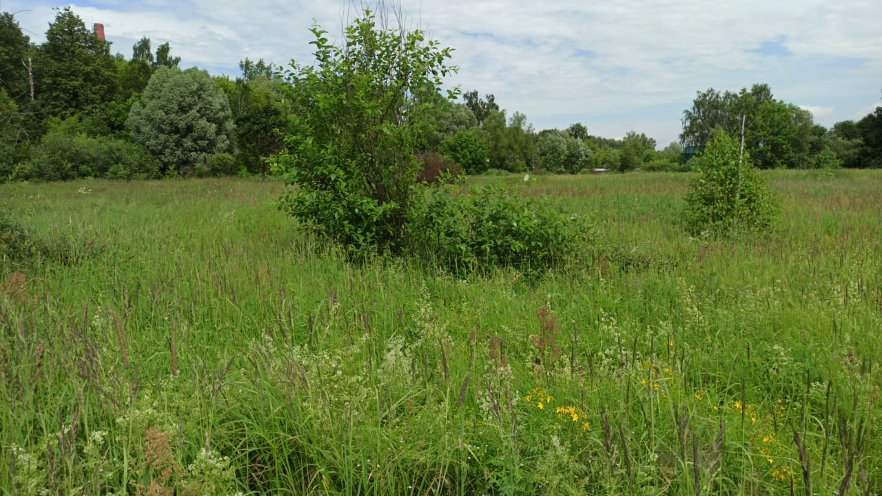 Походная Романтика 31. ФанФест на Клязьме | 2020. Галерея Фантим