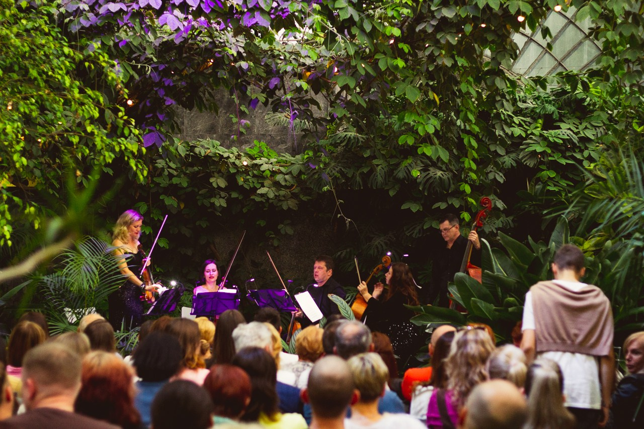 Petro Art — квартет в Таврическом саду (Рок Хиты). EvgenyCraft