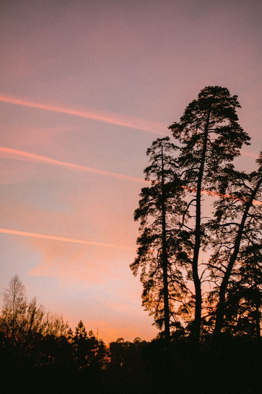 Wallpapers. Фотограф Казань