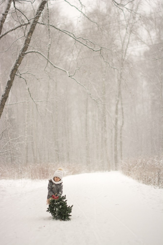 Зима в лесу. Фотосессия беременности — Крылова Натали — Москва