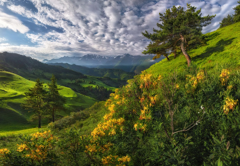 Фотоотчет Кавказ, Приэльбрусье и Ингушетия