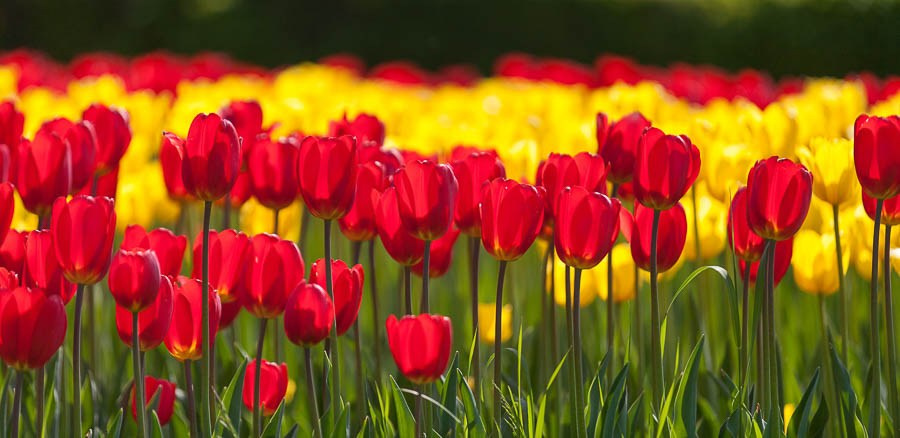 Street art. Фотостудия Алматы. Фотосъемка Алматы. Фотосессия Алматы. Фотокурсы. Обучение фотографии. Аренда студии