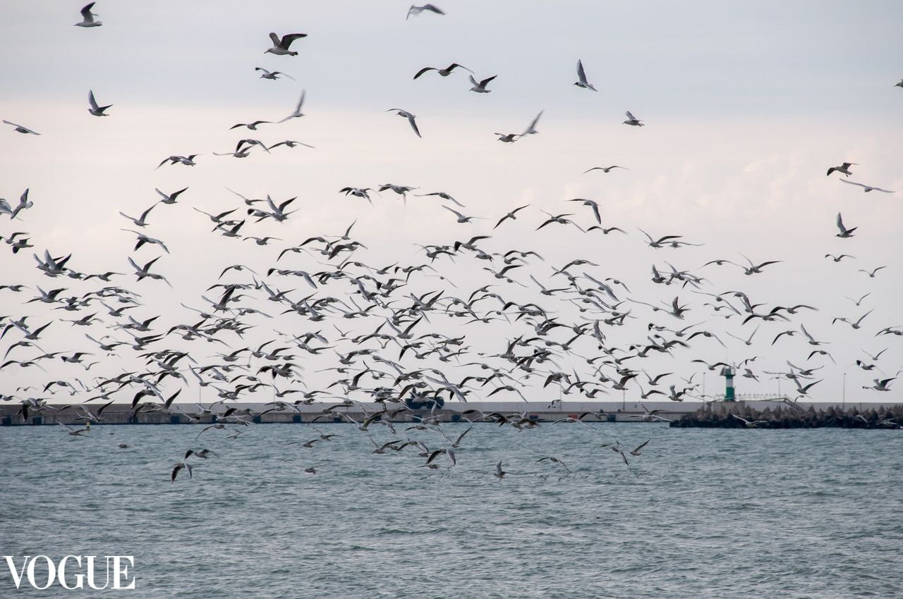 Публикации в журналах. Портретный, семейный фотограф Марина Моисеева