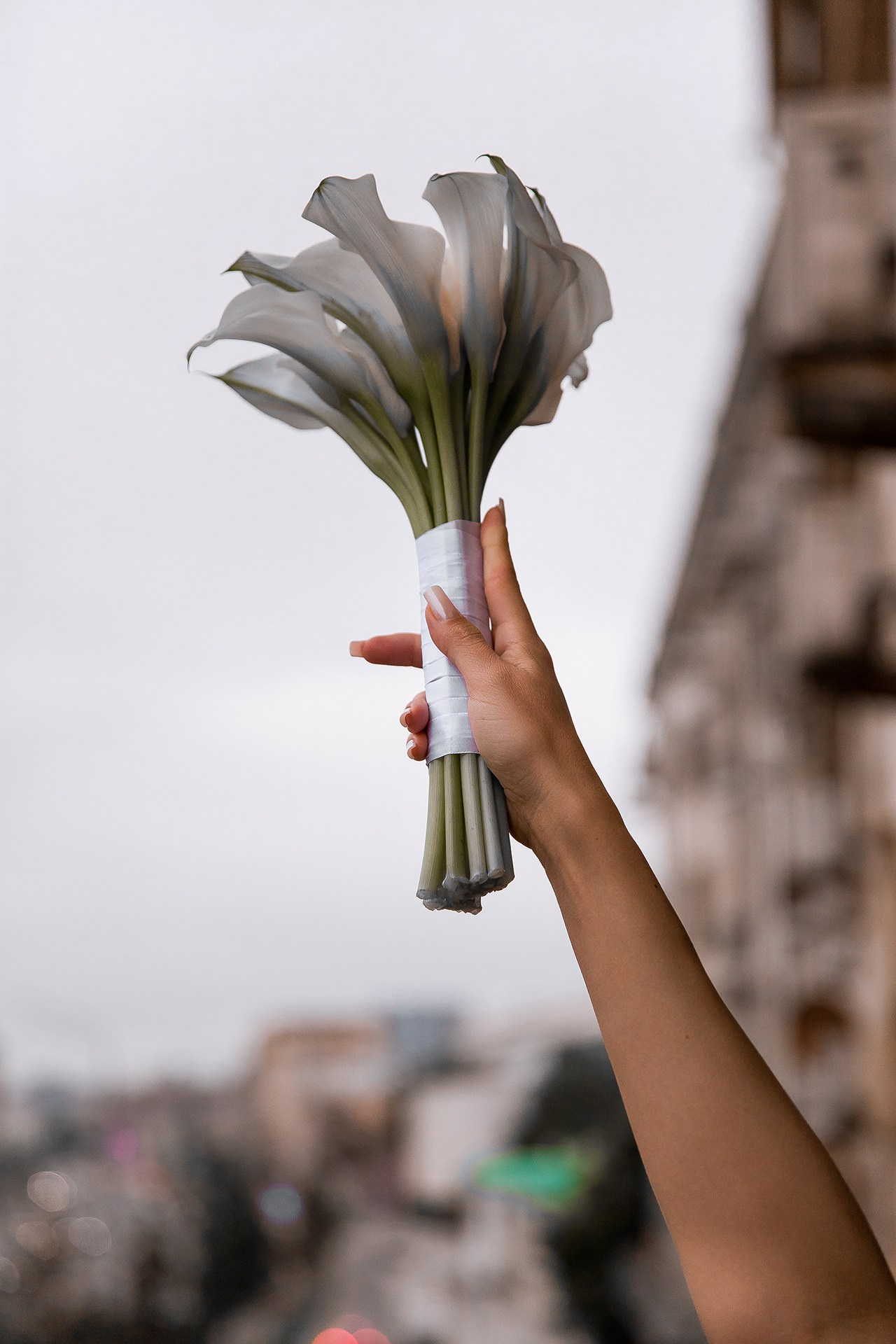 Katerina Schastlivaya