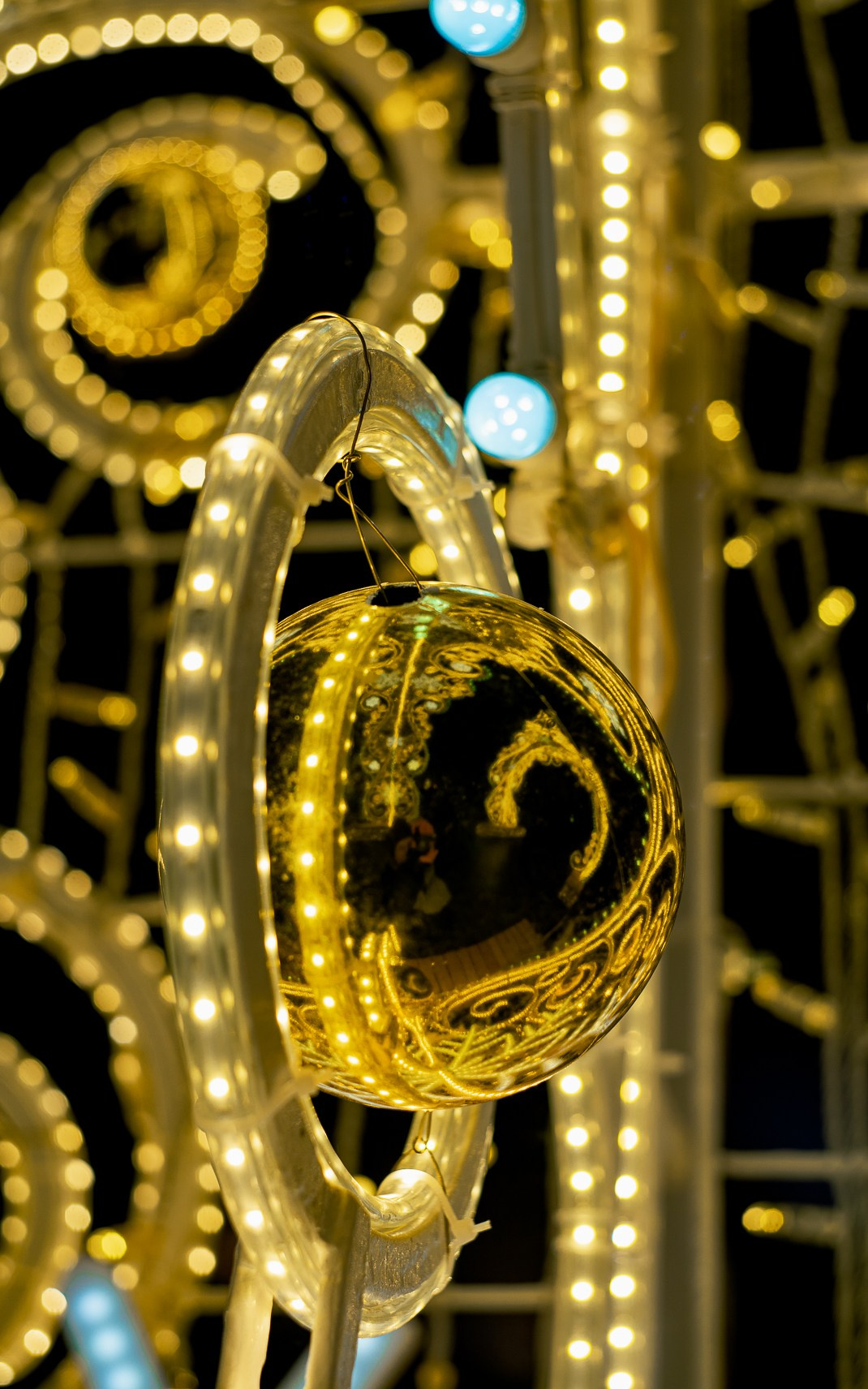 Москва. Ноябрь. 2024. Фотограф в Сочи Елена Лисотина. Фототуры в Сочи