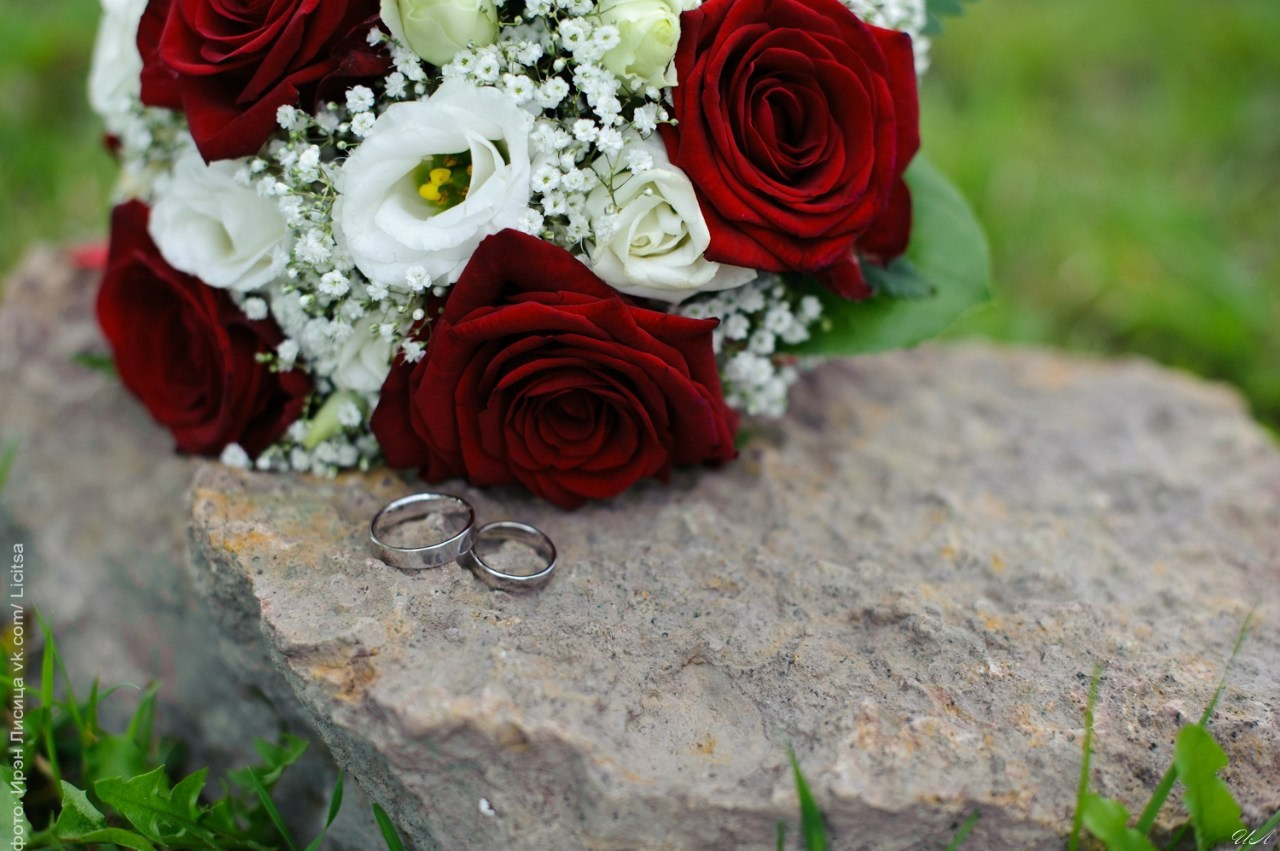 Свадьбы. Кингисепп, Ивангород