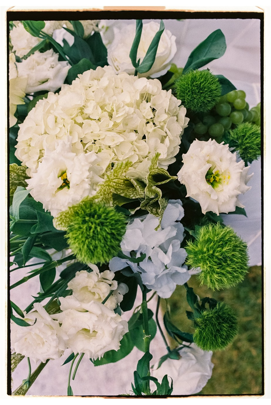 Превью на плёнку. Главная