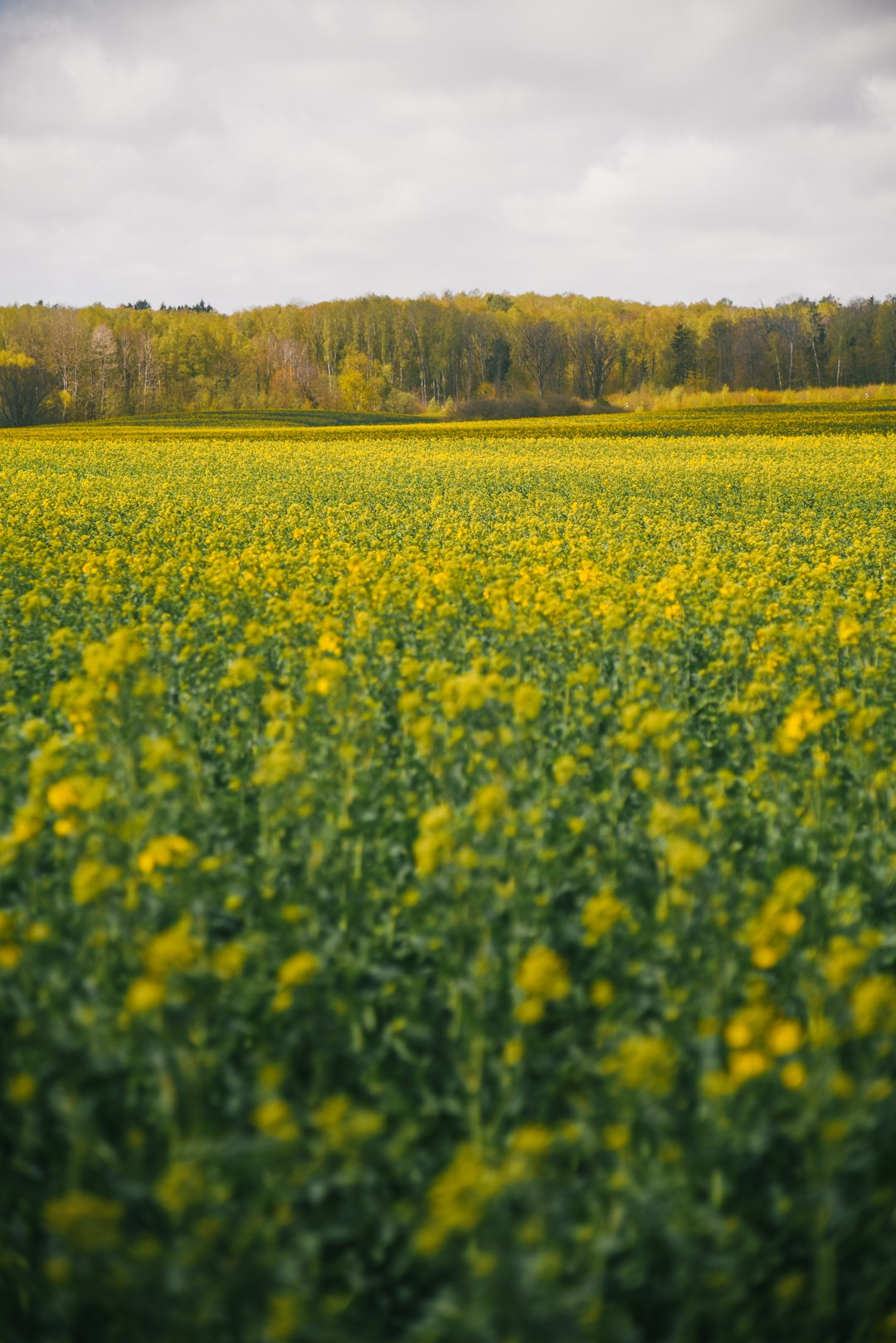 Landscape Photography and Fine Art Prints