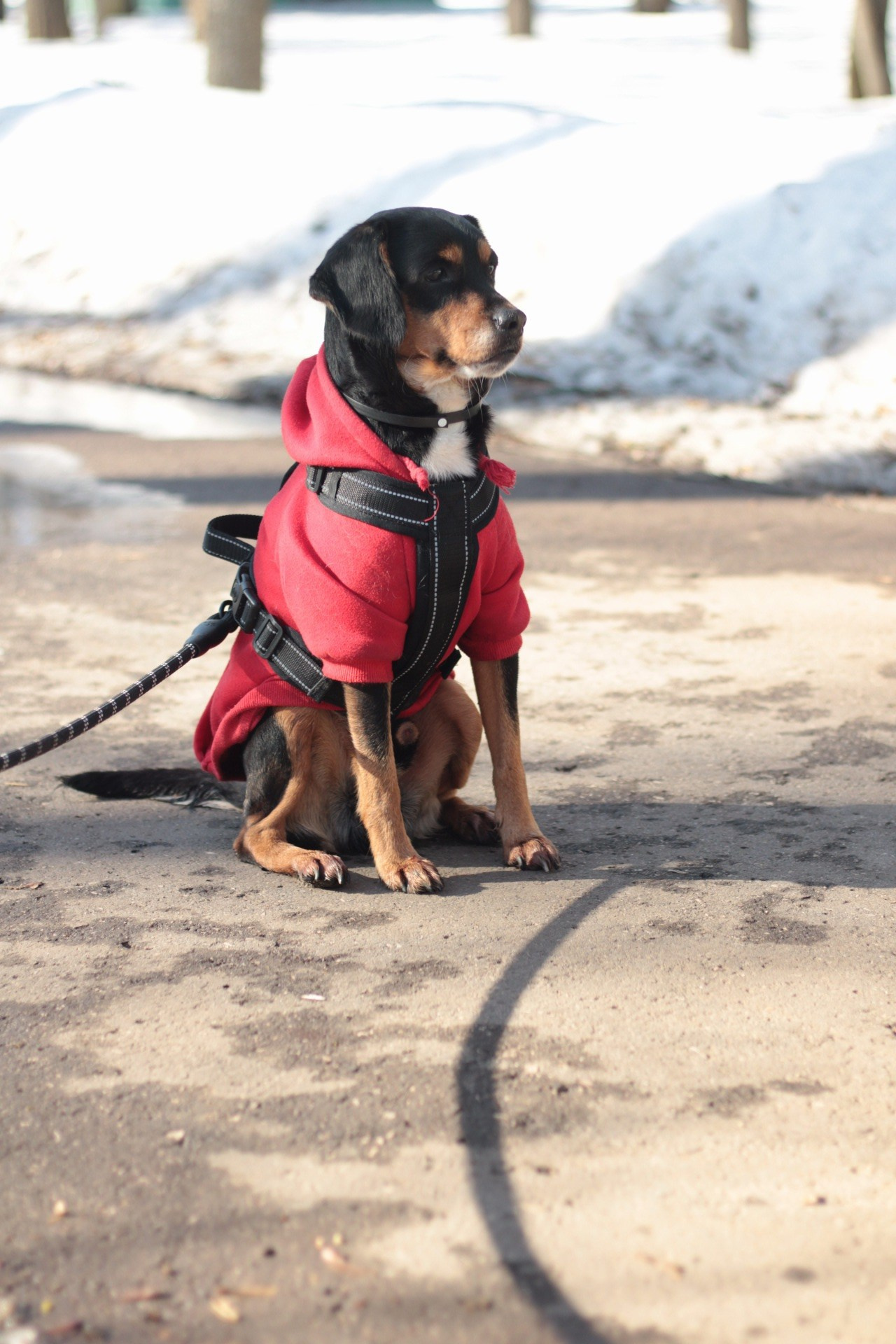 Маша и Кекс. Катя Попова|ЛайфСтайл фотограф