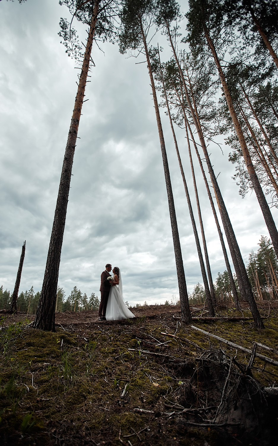 Ангелина и Максим. Свадебная фотосъёмка в Брянске | Влад и Ирина Тютьковы