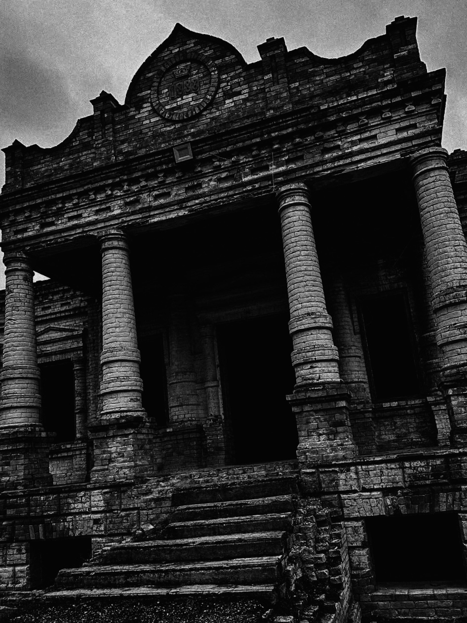 Аристократка ночи. Мобильный фотограф Дмитрий Шпуров | KIREVAS