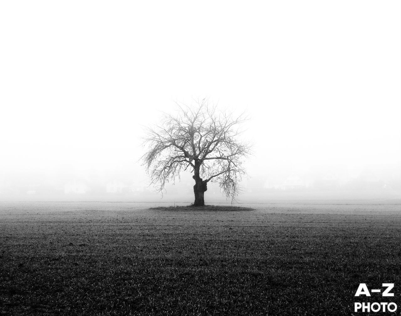 #ФОТОНЕДЕЛИ 26.01.2026. Женский семейный фотограф Тула Москва Захарова Анна